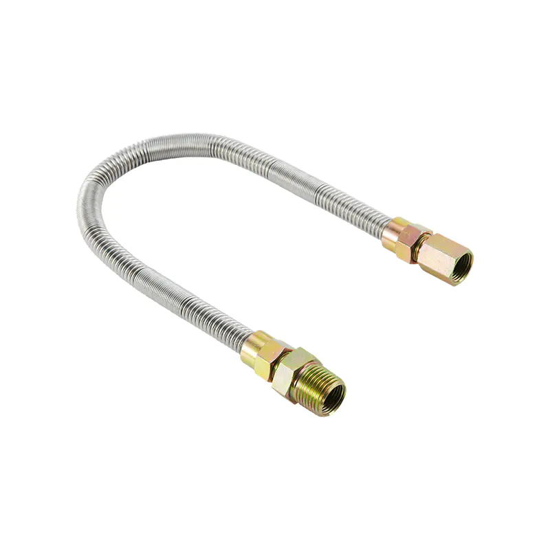 DN10 rustfrit stål fløjtefri gasstik